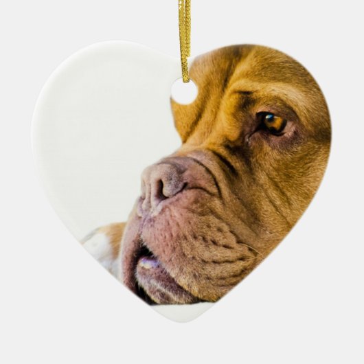 Dogue de Bordeaux セラミックオーナメント (正面)