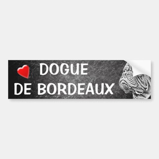 Dogue De Bordeaux -フランスのなマスティフ バンパーステッカー (正面)