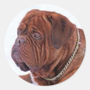 Dogue De Bordeaux ラウンドシール