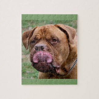 Dogue de Bordeaux 8x10の写真のパズル ジグソーパズル