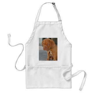 Dogue de Bordeaux Apron スタンダードエプロン