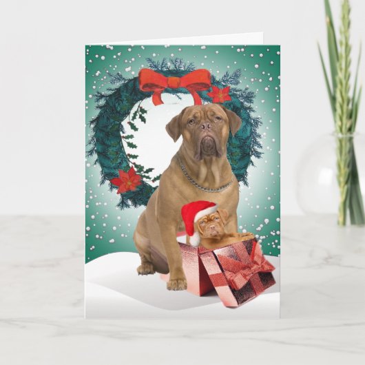 Dogue De BordeauxChristmasのギフトカード シーズンカード (正面)