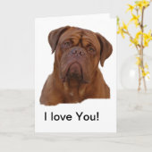 Dogue De Bourdeauxのフランスのなマスティフ カード (黄色い花)