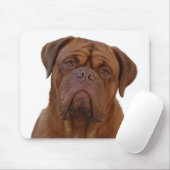 Dogue de Bourdeaux マウスパッド (マウス)
