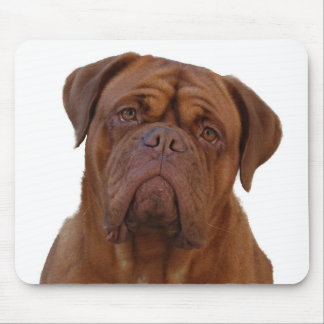 Dogue de Bourdeaux マウスパッド