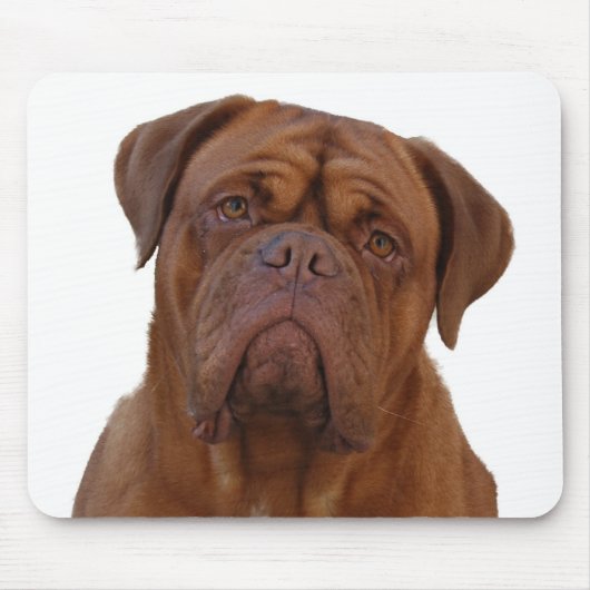 Dogue de Bourdeaux マウスパッド (正面)