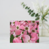 Dogwoodの花 ポストカード (スタンド正面)