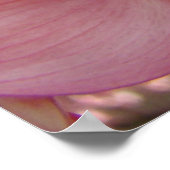 DOGWOODフラワーズアート自然プリントポスター ポスター (角)