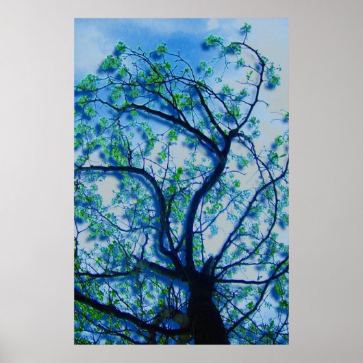 DogwoodレンディションIII ポスター (正面)