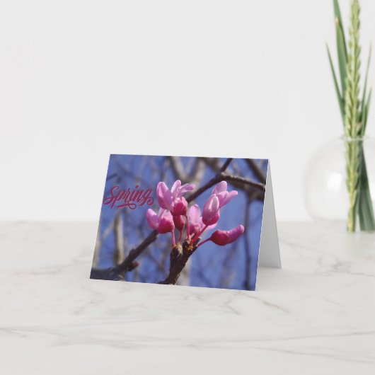 Dogwood Blossom Blank Greeting Card サンキューカード (正面)