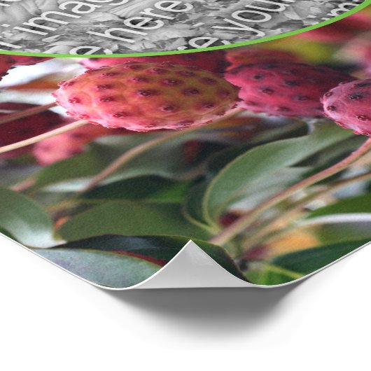 Dogwood Fruit自然フレーム自分の写真を作成 ポスター (角)