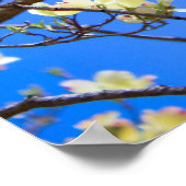 dogwood poster ポスター (角)