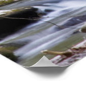 Dogwood Trees | Great Smoky Mountain, Tennessee ポスター (角)