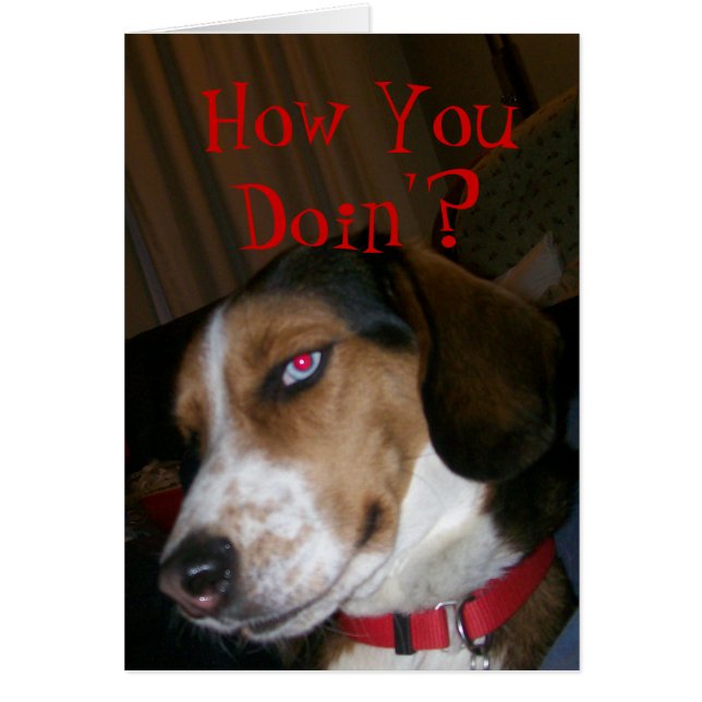 Doin'?いかに (正面)