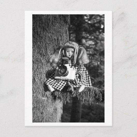 Doll Portrait - The Photographer ポストカード (正面)