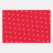 Dollar money sign pattern wrapping paper sheets ラッピングペーパーシート (正面)