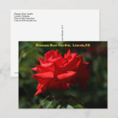 Dolly PartonポストカードHRG 700 2014 ポストカード (正面/裏面)