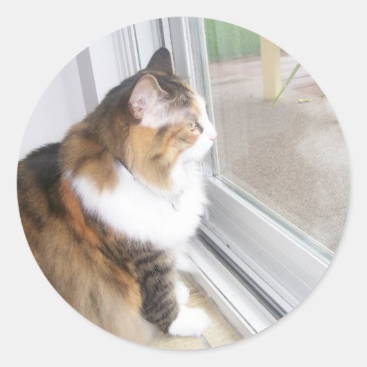 Dolly the Cat Looking out Windowステッカー ラウンドシール (正面)