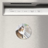 Dolly the Cat Looking out Window Magnet マグネット (インサイチュ (食洗機))