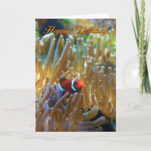 Dolnfish誕生日カード – 写真カード – Happy カード