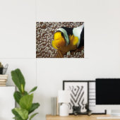 Dolnfish – 閉じる！かわいい – AnemoneのNemo | ポスター (ホームオフィス)