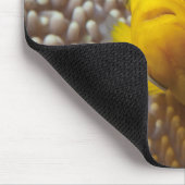 Dolnfish – 閉じる!かわいい – AnemoneのNemo | マウスパッド (コーナー)