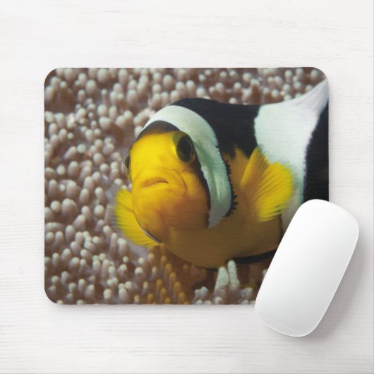 Dolnfish – 閉じる!かわいい – AnemoneのNemo | マウスパッド (マウス)