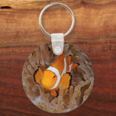 Dolnfish - Molokai, North Shore Cliff キーホルダー (正面)