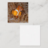 Dolnfish - Molokai, North Shore Cliff ノートカード (正面/裏面)