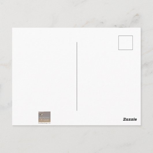 Dolnfish Sea Anemone Coral水中かわいい写真 ポストカード (裏面)