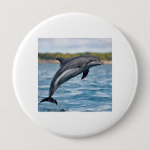 Dolphin 缶バッジ (正面)