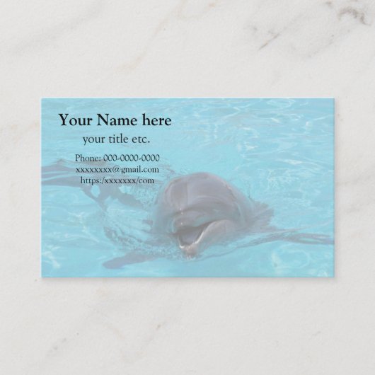 Dolphin business card, save marine animals イルカ 名刺 (正面)