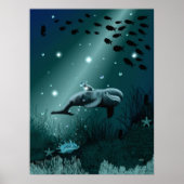 Dolphin Dream ポスター (正面)
