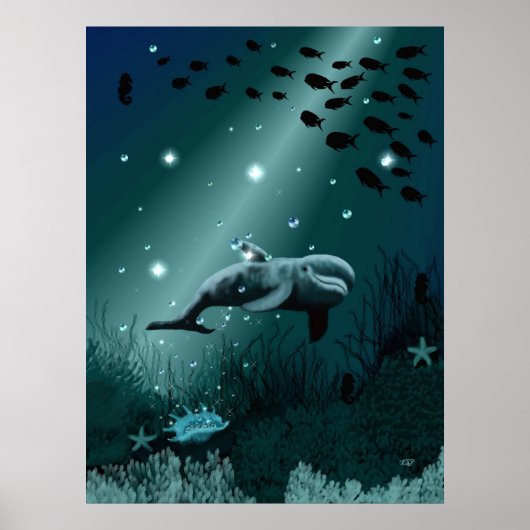 Dolphin Dream ポスター (正面)