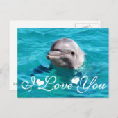 Dolphin in Blue Water写真I Love You ポストカード (正面/裏面)