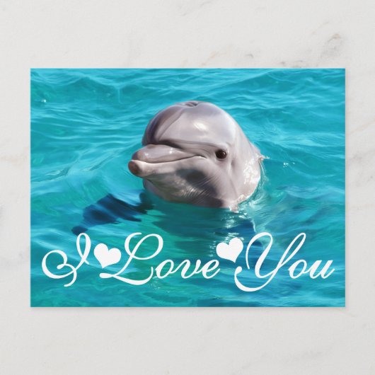 Dolphin in Blue Water写真I Love You ポストカード (正面)