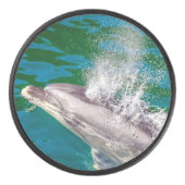 Dolphin In Milford Sound，ニュージーランド アイスホッケーパック (正面)