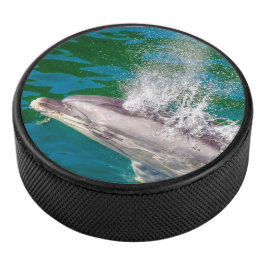 Dolphin In Milford Sound，ニュージーランド アイスホッケーパック