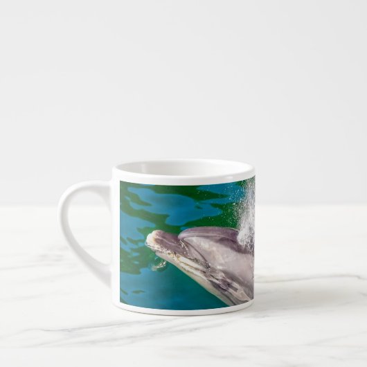 Dolphin In Milford Sound，ニュージーランド エスプレッソカップ (左)