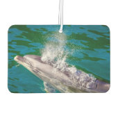 Dolphin In Milford Sound，ニュージーランド カーエアーフレッシュナー (裏面)