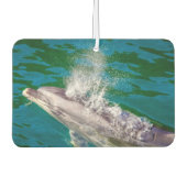 Dolphin In Milford Sound，ニュージーランド カーエアーフレッシュナー (正面)