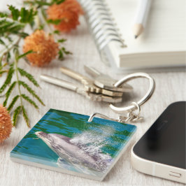 Dolphin In Milford Sound，ニュージーランド キーホルダー