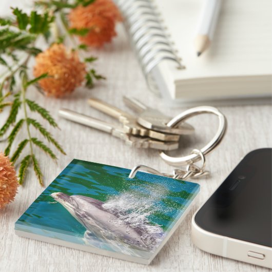 Dolphin In Milford Sound,ニュージーランド キーホルダー (正面右)