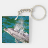 Dolphin In Milford Sound,ニュージーランド キーホルダー (裏面)