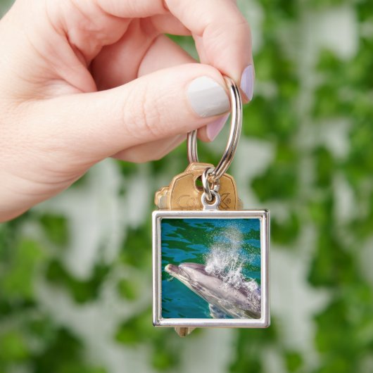 Dolphin In Milford Sound，ニュージーランド キーホルダー (手)