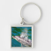 Dolphin In Milford Sound，ニュージーランド キーホルダー (正面)