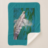 Dolphin In Milford Sound，ニュージーランド シェルパブランケット (正面)