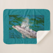 Dolphin In Milford Sound，ニュージーランド シェルパブランケット (正面(横))