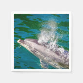 Dolphin In Milford Sound，ニュージーランド スタンダードカクテルナプキン (正面)