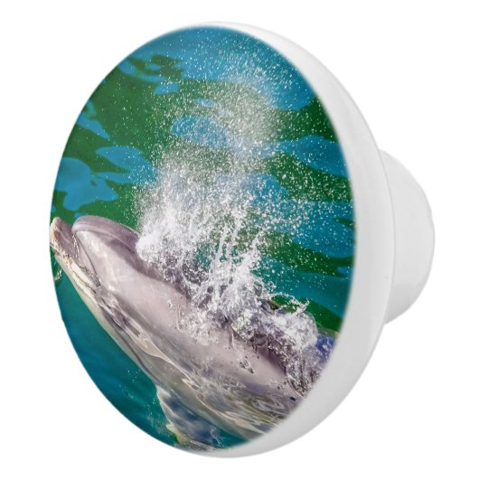 Dolphin In Milford Sound，ニュージーランド セラミックノブ (右)